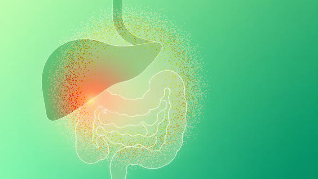 Жити без жовчного міхура